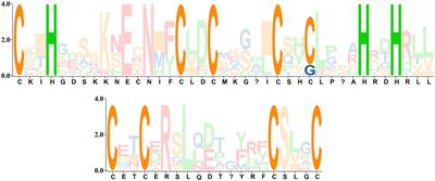 Genome-Wide Identification of PLATZ Transcription Factors in Ginkgo biloba L. and Their Expression Characteristics During Seed Development
